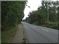 B1145 towards Gayton in Bawsey