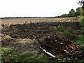 Crop field south of the A11 road in NR18 0SR