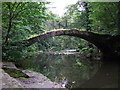 River Goyt and Roman Bridge in SK6 7DT