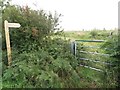 Public bridleway crossing restored opencast workings in Widdrington Station and Stobswood