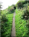 Fife coastal path, Buckhaven in KY1 4PT