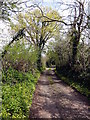 Track from Rydonball Cross to Oldbarn Cross in TQ12 6UG