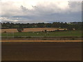 Farmland across railway in EH49 7SZ