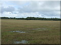 Stubble field near Manor Farm in PE32 2RW