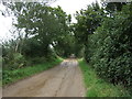 Track off Litcham Road in PE32 2RW
