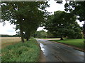 Looking east on Litcham Road in PE32 2RW