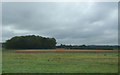 Farmland and woodland near Gullpit Farm in PE34 3PQ