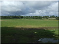 Flat farmland near Dunfer Hole in NR20 4HQ