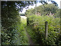Path to Seven Mile Wood east of Stanker Hill Farm in NG15 8FH