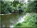 River Severn, Vaynor in SY16 4HZ