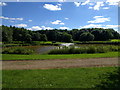 Lake and park at Stafford Services in ST15 0EU