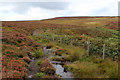 Bridleway above Back Clough in HX2 7UP