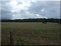 Stubble field, Frans Green in NR9 5WR