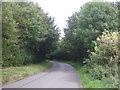 Rural road, Frans Green in NR9 5WR
