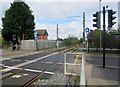 Level Crossing over tram tracks in OL2 8PJ