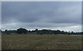 Flat farmland towards Holme Park Farm in PE33 0EH