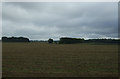 Flat farmland towards Home Farm in PE33 0JN