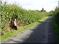 Post Box on Broad Alley, Cutnall Green in WR9 0PP