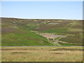 Monk's Moor above Great Eggleshope Beck in DL12 0SA