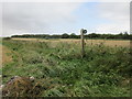 Bridleway signpost, Bleadon Level in BS24 0AP