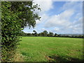 Grass field near Thorncombe in TA20 4PH