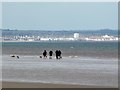Dog walkers, Ulrome Sands in YO25 8TT