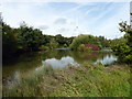 Lake at Sharnfold Farm in BN24 5PW
