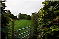 Footpath off Main Road, Aylesby in DN37 7AP