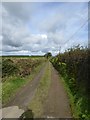 Bridleway to Southcott Cross from Yelland (1) in EX20 4NB