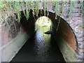 Culvert beneath the railway in BA22 9UD
