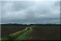 Drain and flat farmland near West Winch in PE33 0LQ