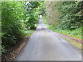 Road from Tynron to A702 at Lannhall Wood in DG3 4JY