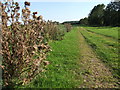 Footpath and farm road, Langton by Spilsby in PE23 4PU