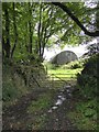 Old Nissen hut on a farm at Hilltown in EX20 1SL