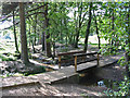 Bridge near Holmsley inclosure, New Forest. in BH24 4HY