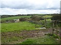 Field and old shed by the Northlew Road in EX20 3XQ