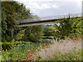 Footbridge over Lake next to the A45 in NN10 8HB