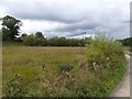 Marshy field north of Norleigh Mill Farm in EX20 3LW