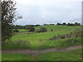 Farmland West of the Leeds - Liverpool Canal at Appley Bridge in WN6 9AT