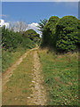 Public Byway to Puddletown in DT2 8GN