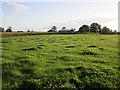 Grass field and barn at Darvole in BA22 9QJ