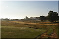 Track across a fairway, Aldeburgh Golf Club in IP15 5QE