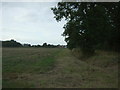 Field and ditch beside Mill Road, Burgh St Peter in Burgh St Peter