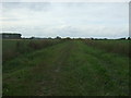 Farm track off Lily Lane in Aldeby