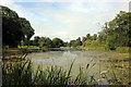 The lake at Eaton Hall in CH4 9JF