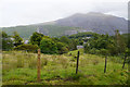 Field above Llanberis in LL55 4TF