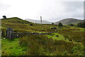 A wall and ruined hut near Ceunant Bach in LL55 4TF