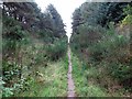 Disused railway line near Burghead in IV30 5UP
