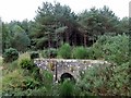 Railway Bridge over Millie Burn in IV30 5YP