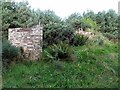 Ruined building, Roseisle Forest in IV30 5YP